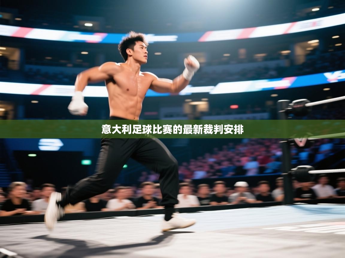 意大利足球比赛的最新裁判安排