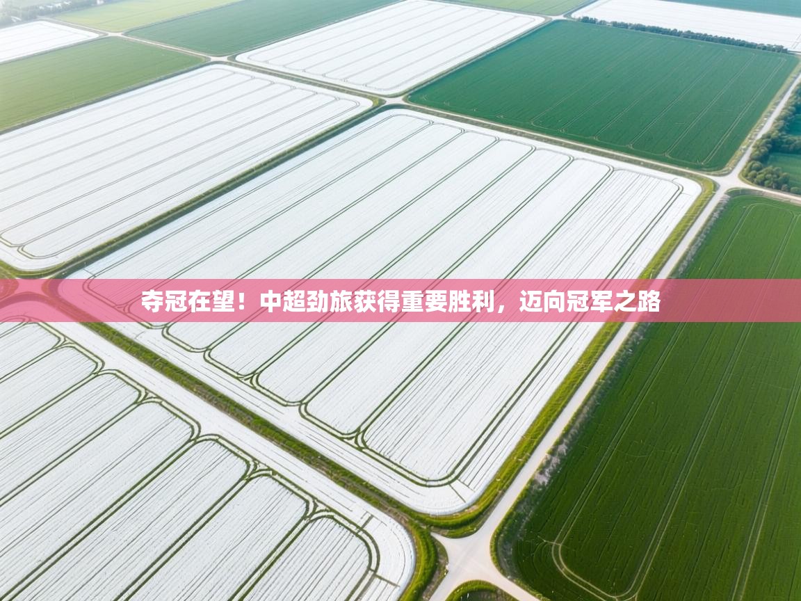 夺冠在望！中超劲旅获得重要胜利，迈向冠军之路