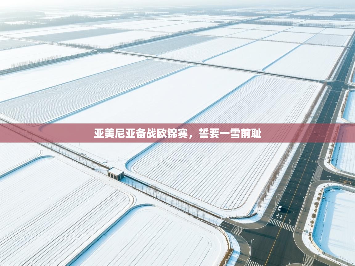 亚美尼亚备战欧锦赛，誓要一雪前耻