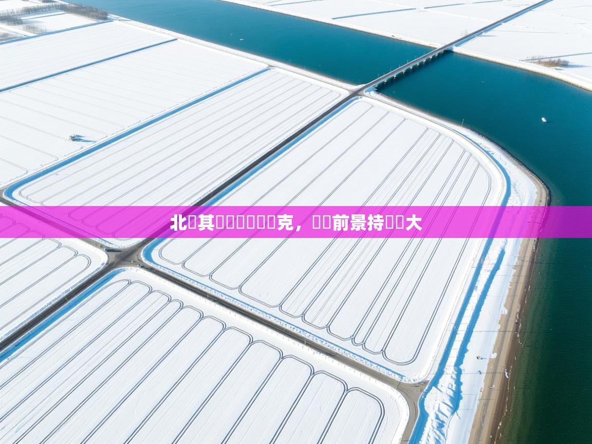 北馬其頓擊敗烏茲別克，晉級前景持續擴大