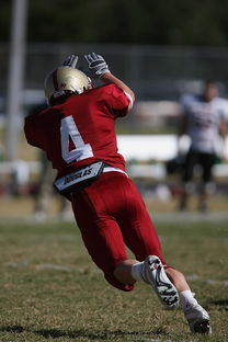 江南体育网页版-球迷支持层出不穷：球队赢球，球迷狂热助威难挡